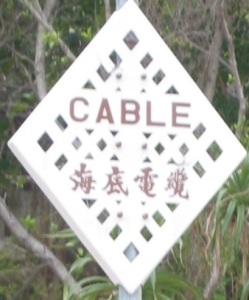 Cable- Copy